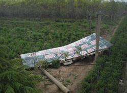 狭管效应