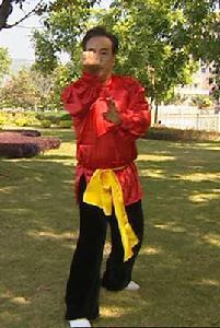 白眉拳