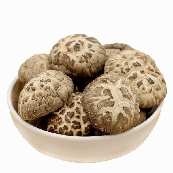 花菇 白蘑科真菌界生物 搜狗百科