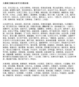 宇文昭仪墓志