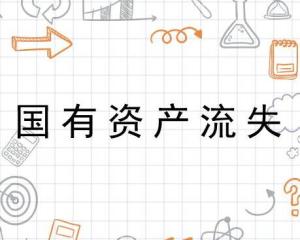 国有资产流失