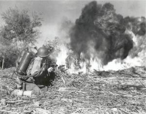 美军第33步兵师士兵使用M2-2喷火器