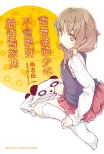第五卷封面