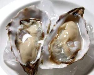 生牡蛎 搜狗百科 生牡蛎 搜狗百科