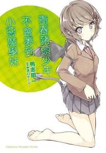 第二卷封面