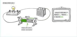 科学的世纪图册