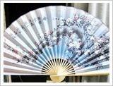 阳朔画扇