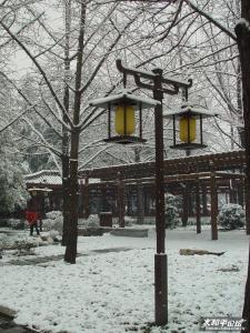唐大慈恩寺遗址公园