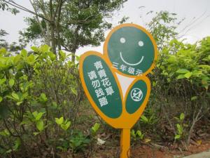 校园景色
