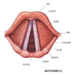 词条名:sound reverberation中文词条名:混声编辑1介绍录目名词性质混
