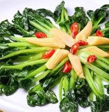 做菊花菜的原料