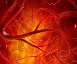 新生毛细血管的特点图片