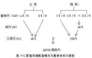 pic配套系图册