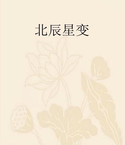 什么叫北辰星 0