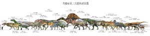 兽脚亚目三大超科对比图