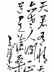 天若有情天亦老