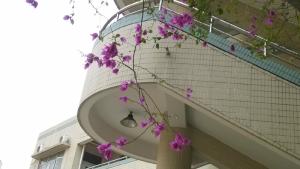 我校美丽的校园风光