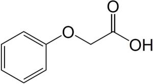 苯氧乙酸的结构简式