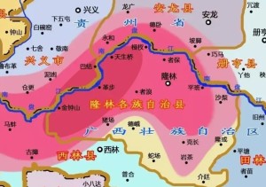 隆林县乡镇地图图片