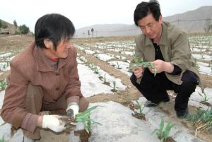 连儿湾乡