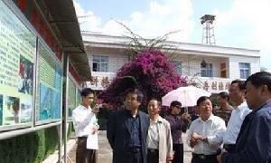 桤泉镇