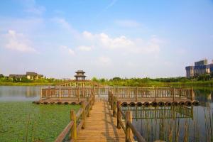 湿地公园