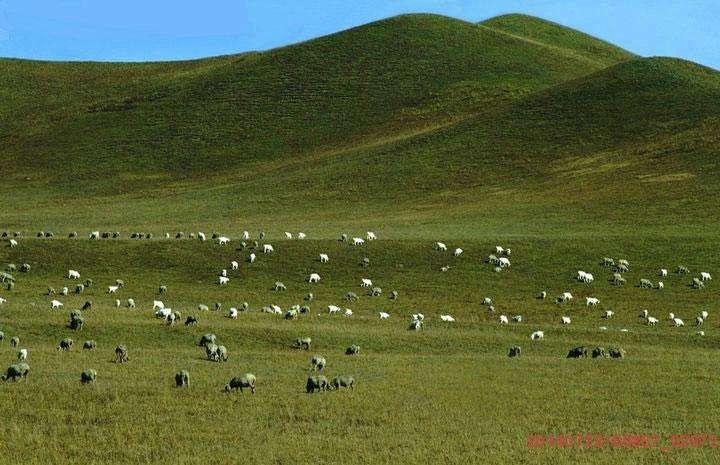 都兰县境内建的巴隆国际狩猎场.