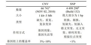 CNV和SNP的对比