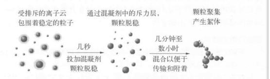絮凝机理