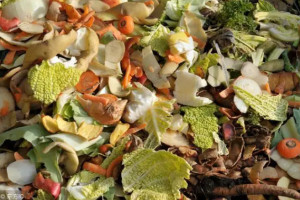 厨余(2)厨余是有机垃圾的一种,包括剩菜,剩饭,菜叶,果皮,蛋壳,茶渣,骨