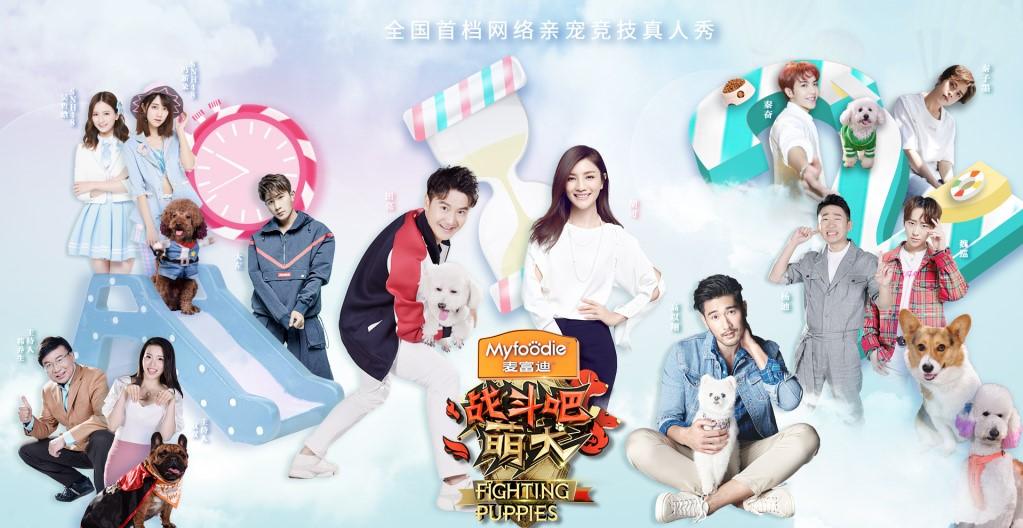 战斗吧萌犬