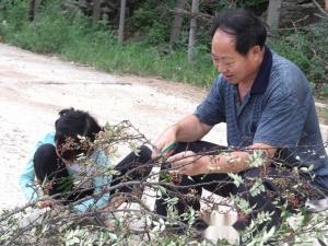 响水庄村风土人情