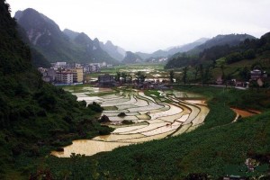 都安瑶族自治县