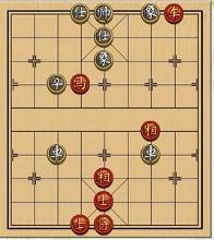 侧面虎