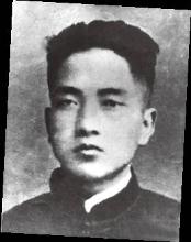 何挺颖
