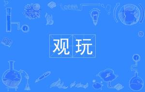 Fly什么意思中文 300