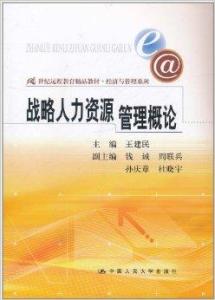 什么是人力资源战略管理 300