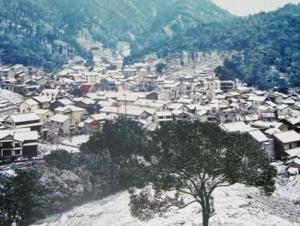 梅家坞
