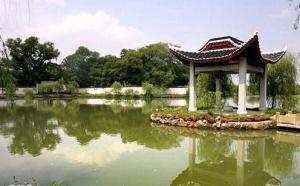 八大山人馆