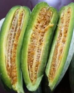 酥瓜(3)酥瓜(甜瓜的一种),又名"羊角酥",产于安徽省淮南市潘集区.