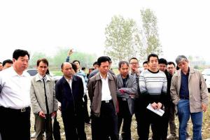 与会专家勘察工程现场