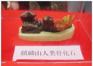 麒麟山人骨化石