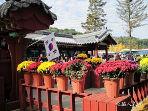 韩国南怡岛图册