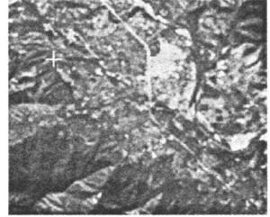 图2 增强遥感影像图