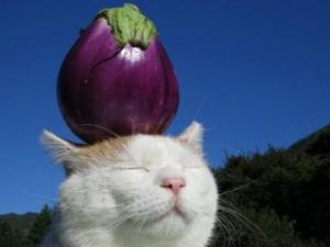 头顶万物