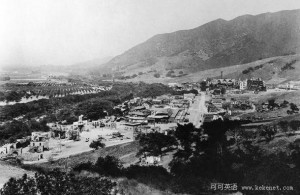 1886年好莱坞的大片冬青