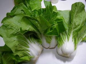 容易出现有机磷农药的菜