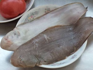 比目鱼