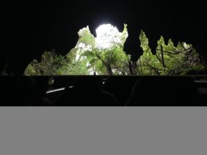 怀托摩萤火虫洞
