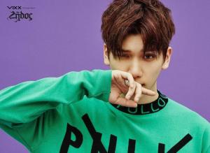 VIXX图册